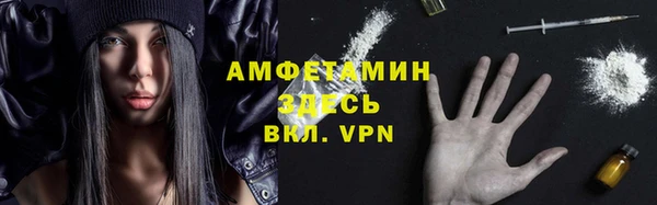 сатива Алзамай