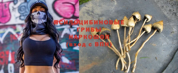 сатива Алзамай