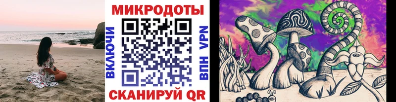 Галлюциногенные грибы Cubensis  где купить наркоту  Лаишево 